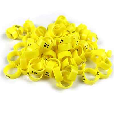 100 bandas multicolor para patas de pájaro, anillo numerado del 1 al 100 de 8 mm, anillo para palomas de carreras de loros, pollitos y patos, anillo de clip (amarillo)