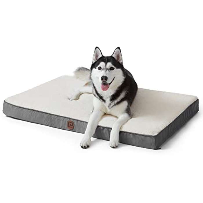 Cama perro ortopédica 76x50x7cm
