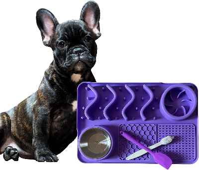 Comedero lento para perro con kit de limpieza