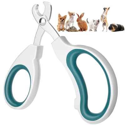 Cortauñas Gato Profesional Fabricado en acero inoxidable, corte limpio, sin astillas, acabado de espejo. Pequeños animales tijeras gatos uñas Para Gatos, Gatitos, Kittys, Cachorros, y Más Mascotas