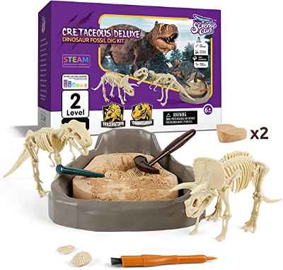  Kit de Excavación Fósiles Dinosaurio/Gemas 
