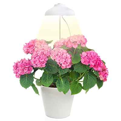 Lámpara LED para Plantas Zenakio - Tamaño Ajustable, Temporizador Automático, 5V, Blanco - Ideal para Planta y Decorar Interior - Lampara de Crecimiento - Luz LED para Cultivo Plantas Naturales