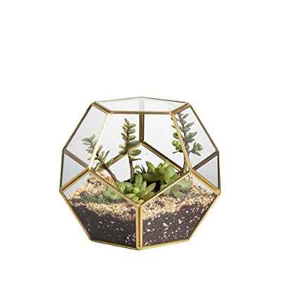 NCYP Terrario Abierto Hecho a Mano de latón Dorado con Forma de Bola geométrica de pentágono para suculentas, Soporte para Plantas de Aire, Maceta de Cristal, Caja de 15 cm (sin Plantas Incluidas)