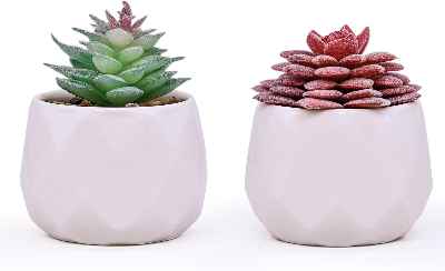 Plantas Suculentas Artificiales