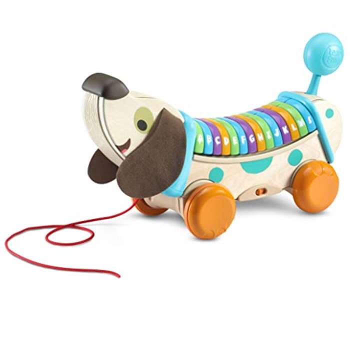 VTech VTech Eco Perrito Infantil Paseos, Descubre Letras y Cancion